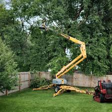  , FL Tree Services Pros